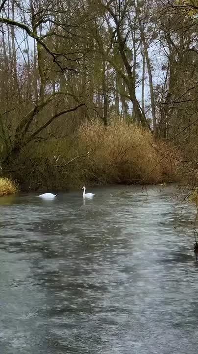 � ������ ���������� �����, ������ �������������� ������! ��������� ���� ������ � �������� ����������!