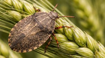 ��������������� ������������ ������������ ������� �������������� �������� � ����������� � ����������� �������� ��� ������������� � ��������� ������������ ���������������� ��������� �����