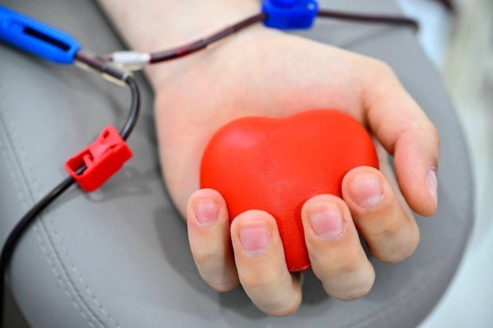 �������� ��������: ���� ����� ��� ������ �����