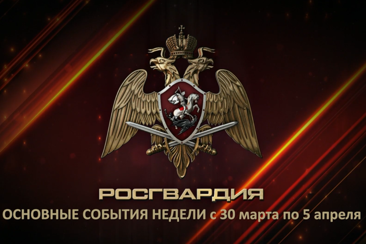 Ключевые события Росгвардии: итоги недели (видео)