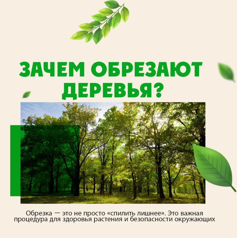 ����� ��������� �������?. ������� � ������, �������� � ����� ��������������, ��������� � �����, ��������� � ������ �����