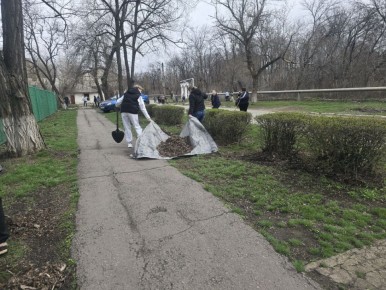 � ������������� ������ ������������ �������� ����������