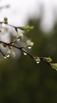 С ДОБРЫМ УТРОМ!. Сегодня 6 апреля, понедельник! Пусть ваш день начнётся с хорошего настроения! Немного о погоде: