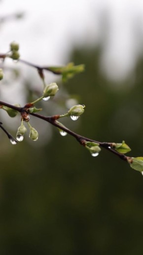 С ДОБРЫМ УТРОМ!. Сегодня 6 апреля, понедельник! Пусть ваш день начнётся с хорошего настроения! Немного о погоде: