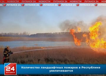 Ландшафтных пожаров в Республике всё больше!