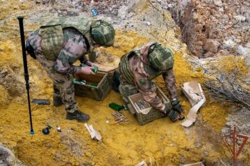 В ЛНР саперы Росгвардии ликвидировали более 170 взрывоопасных предметов