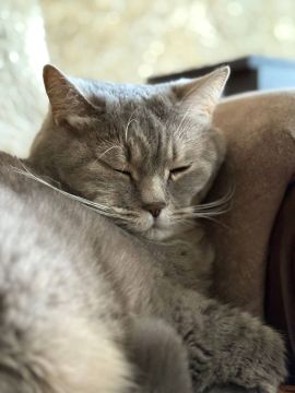 7 апреля на территории Луганской Народной Республики будет облачно с прояснениями