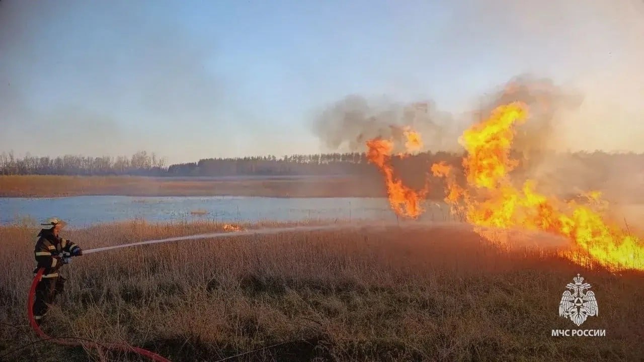 За минувшие выходные в ЛНР ликвидировано 33 пожара
