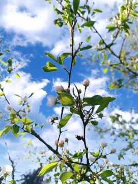 ������ ����, �������!. ������ �������, ��������, ������,� ������� ���