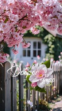 � ������ �����!. ������� 7 ������, �������! ����� ��� ���� �������� � �������� ����������! ������� � ������: