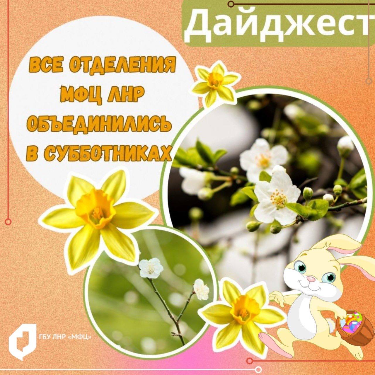 МФЦ ЛНР присоединился к ежегодному предпраздничному благоустройству территории