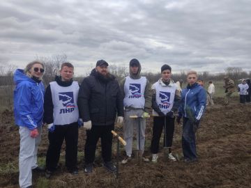 � ������ ������������� ����� ���� ������ � ���������� �������� 7 ����� �������� �����