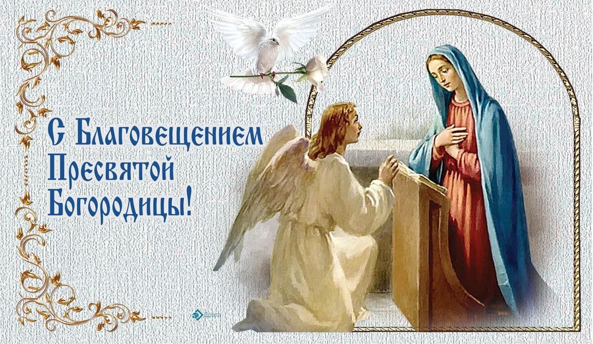 Владимир Чернев: Дорогие жители Старобельского муниципального округа!