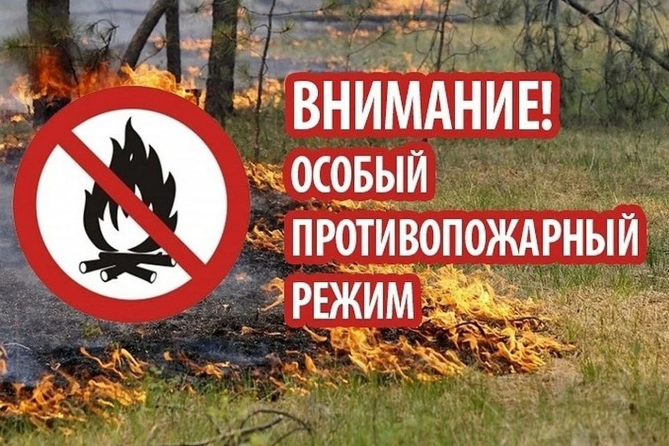 ����������, ��� �� ���������� ��������� �������� ���������� � 1 ������ �� 31 ������� 2026 ���� ���������� ������ ��������������� �����