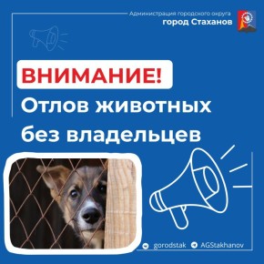 08 ������ 2026 ���� � �. ��������� ����� ����������� ����� �������� ��� ���������� (�����)