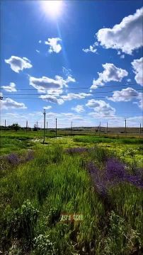 ������ ����, �������!. ����