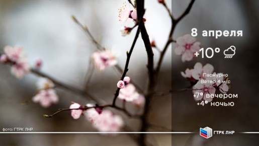 ������ ����, ��������� �������� ����������!