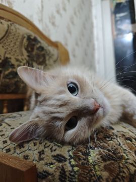 9 апреля на территории Луганской Народной Республики прогнозируется переменная облачность