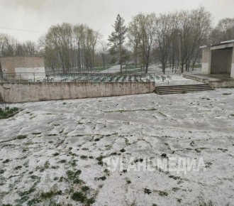 ���� �� ������ ������������ ���������