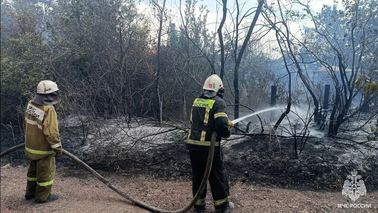 За сутки в ЛНР ликвидировали 8 пожаров