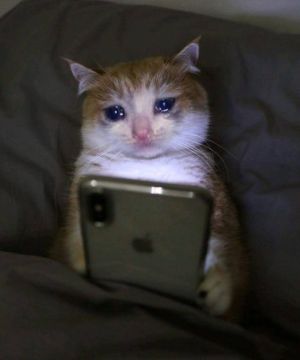 Козерогов, Тельцов и Водолеев до майских ждет напряженный период, — астрологи