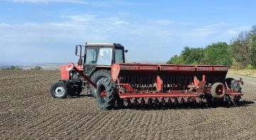 В Станице Луганской кипит работа: посевная