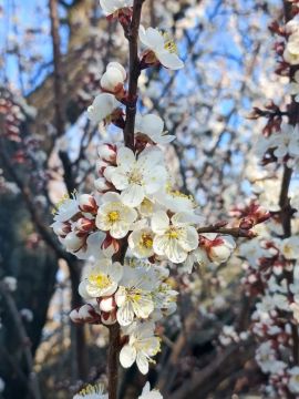 Доброе утро, Кировск!. Желаем теплого, светлого, лёгкого,и бодрого дня