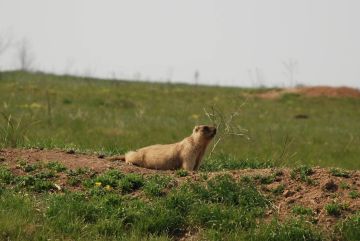 ��������� ��� ������ ����� � ������� ����� ���������� ��������� ����������