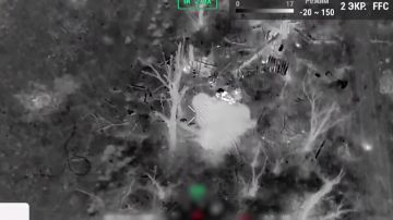 Штурмовые подразделения ВС РФ зачистили укрепленный опорный пункт ВФУ в Запорожской области