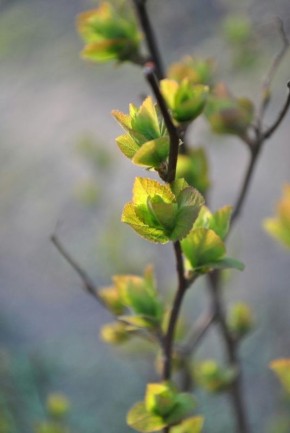 С ДОБРЫМ УТРОМ!. Сегодня 9 апреля, четверг! Желаем теплого и уютного дня! Немного о погоде: