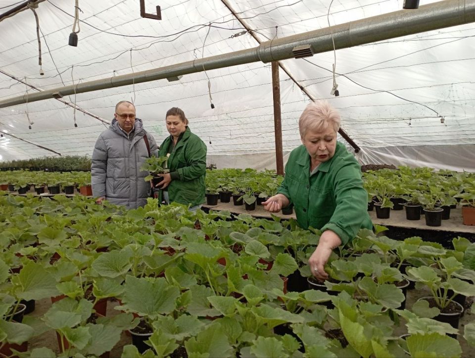 ������������ ���������� ������� ������ ����������