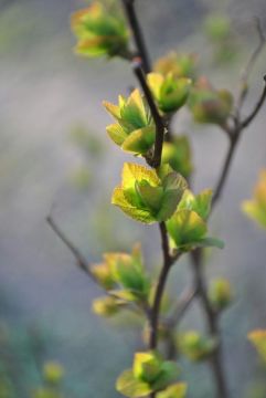 � ������ �����!. ������� 9 ������, �������! ������ ������� � ������� ���! ������� � ������: