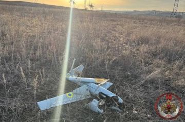 ����� 80 ���������� ���� ����� ������������ ��� ����������� � ������ ����