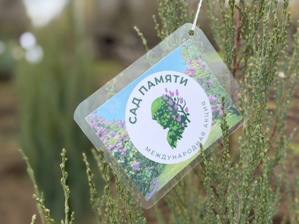 ����� ������� ����������� � ������ � ������ ������ � ������ �� ����� ������, ����������� � ��������� ������ �������� ����� �� ������ ���������� ������������ ��������, � ����� � ���� ��������� ��������� �� �����������...