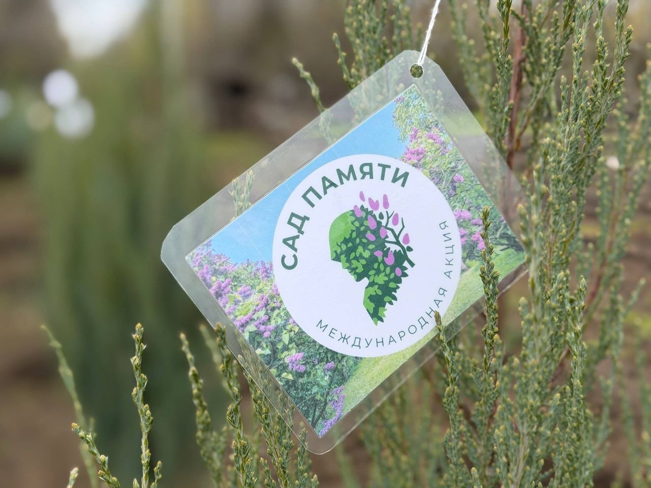 Мечта жителей Первомайска о зелёном и уютном уголке в сквере по улице Ильича, высказанная в карточках прямой обратной связи по итогам реализации национальных проектов, а также в ходе партийных контролей за выполнением...