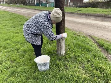 ���������� ������ �� ���������������� ��� �������� ��������� ������� ������ ������ ����� � ��������� ������������