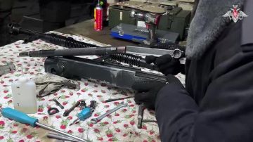 ����������� ��������-����������������� ������������� ����������� ������ � ������ � �������������� ������ �����������, ����������� � ������������� ������� �������