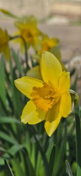 ��������� ������������ 12 ������ � ��� �� ���� �������� ����� �� 15 �������� ����� ����, ������� ��������� ��������� ����� � ��������� �� ����� � � ������� �� ����� 4 ��������