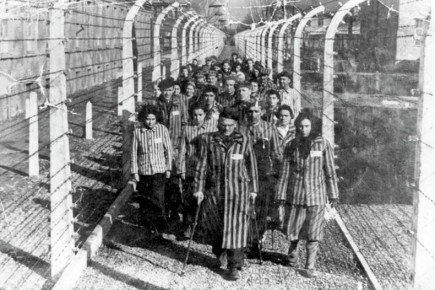 ����� ������ �������� ��������ɻ: ��������� �������