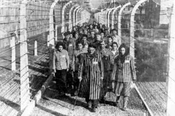 ����� ������ �������� ��������ɻ: ��������� �������