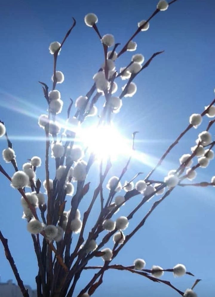 С ДОБРЫМ УТРОМ!. Сегодня 11 апреля, суббота! Желаем хороших выходных! Немного о погоде: