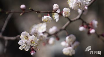 �������� ��������� � ��� ��������� ��� ������� ��-�� ����������� � ���������������