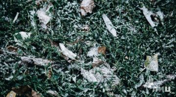 ��������� �� ����� 3 �������� ��������� � ��� ����� � ����� 13 ������