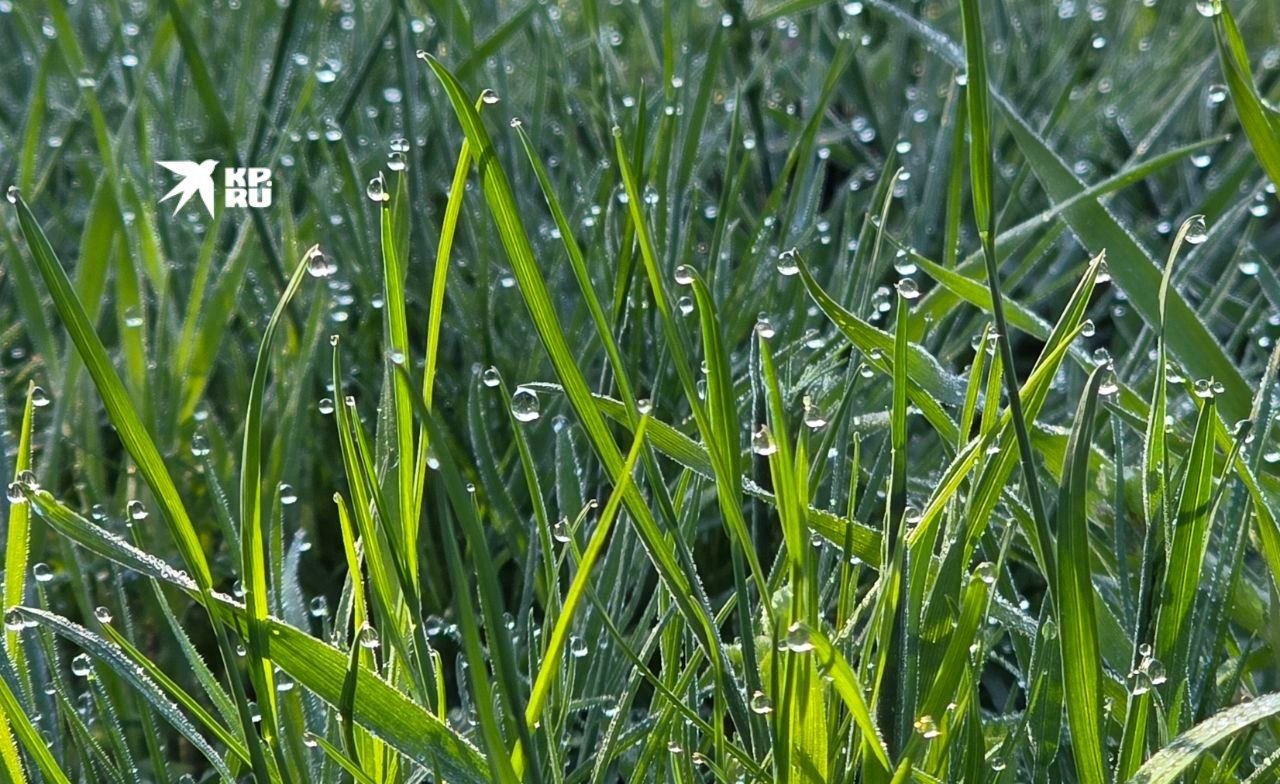 Погода в ЛНР 13 апреля. В Луганске днем 14-16 градусов, возможен небольшой дождь и гроза