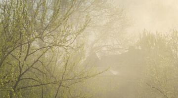 ��������� ������������ 14 ������ � ��� �� 12 �������� �����, ������� �����