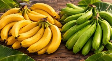 ��������� ������ ���������������� ��������� ��� � ������ ������� � ������������ �� ����������� � ������