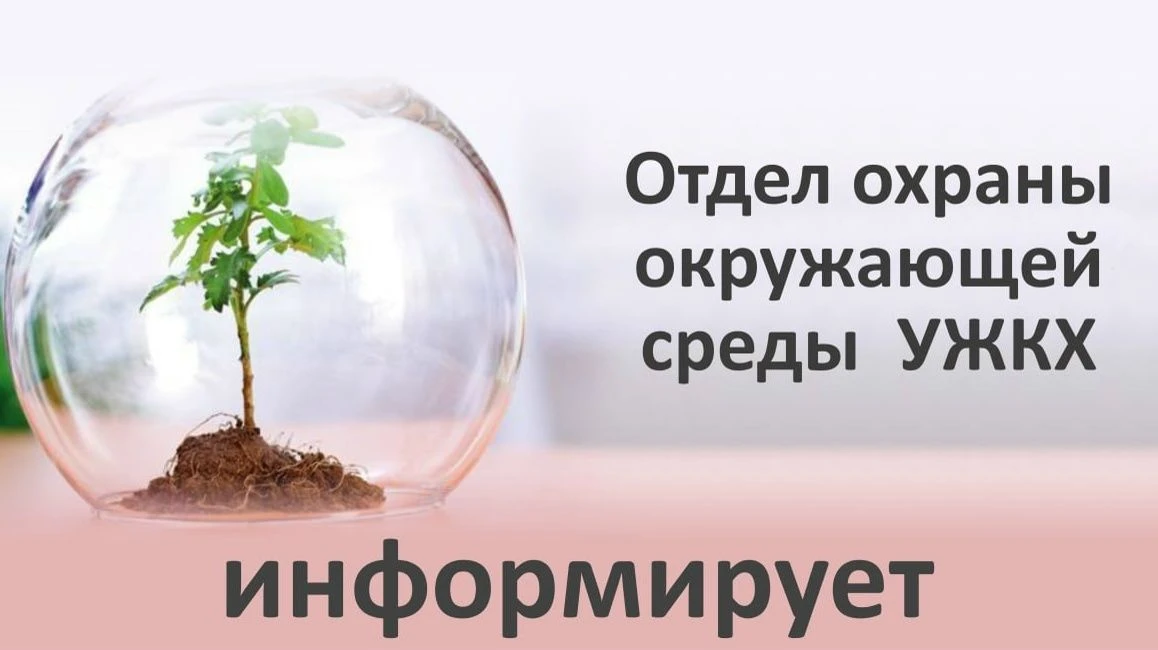 ОТДЕЛ ОХРАНЫ ОКРУЖАЮЩЕЙ СРЕДЫ УЖКХ ИНФОРМИРУЕТ: