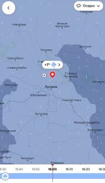 ����� ������������?. �������� ����� - �������