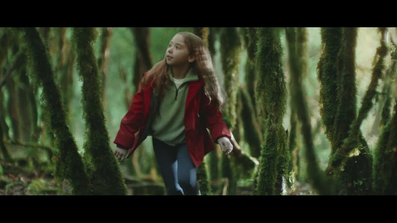 Встретить зубров, пройти по следам леопарда, заглянуть в лиановый лес или подняться на древние вулканы