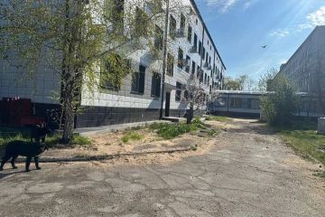 Волгоградская область восстановит 3000 кв. м дорог в ЛНР